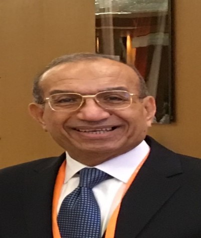 Dr. Mohamed Mostafa Mosaad