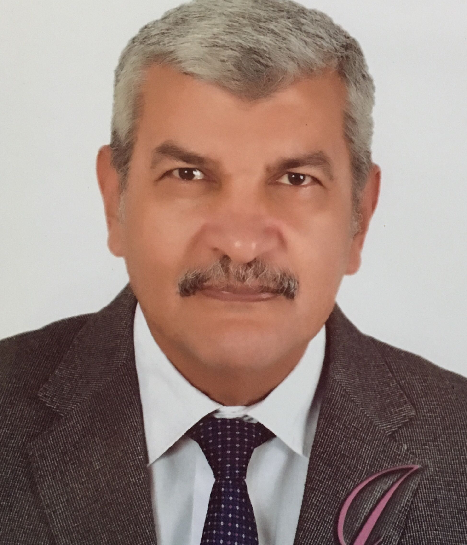 Dr. Magdy Moreed