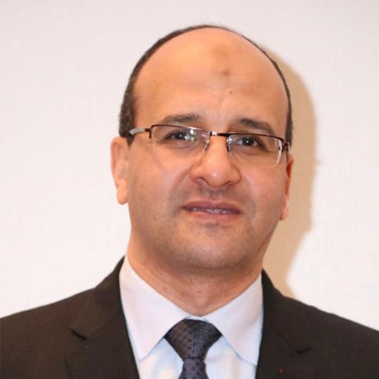 Dr. Mostafa Hussein